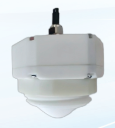 Standard Model - XDZZ-cd-1